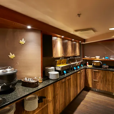 拉赫蒂市斯堪迪克酒店 酒店 4*